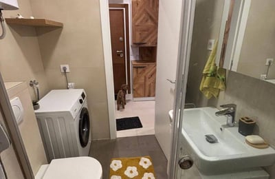 Alquiler de un apartamento nuevo de 2 habitaciones, 41 m², distrito Zemun, Belgrado, Serbia